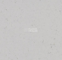 Кварцвиниловые полы Forbo Allura Colour/Colour Plus C68037-651037 cloud фото 1 | FLOORDEALER